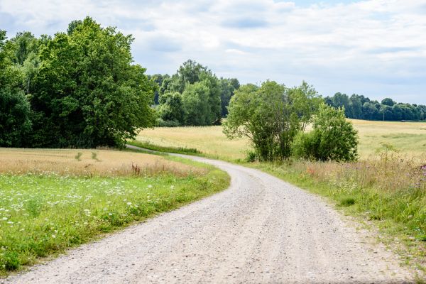 Cost of Stone Driveway Repair in Plainfield